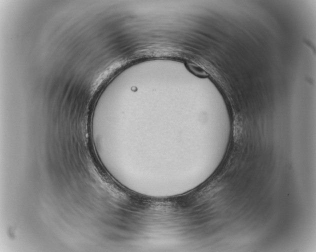 X0000101660438200807311439