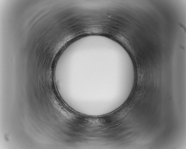 X0000101660439200807311439