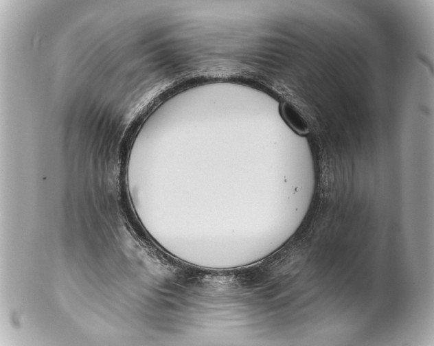 X0000101660440200807311439