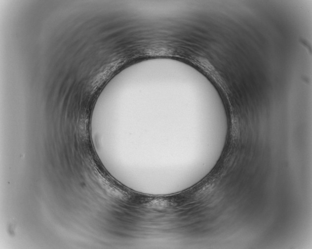 X0000101660441200807311439