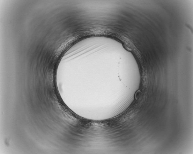 X0000101660442200807311439