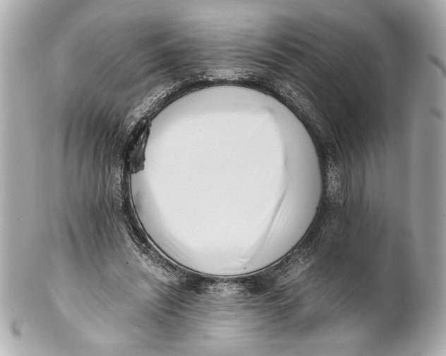 X0000101660444200807311439