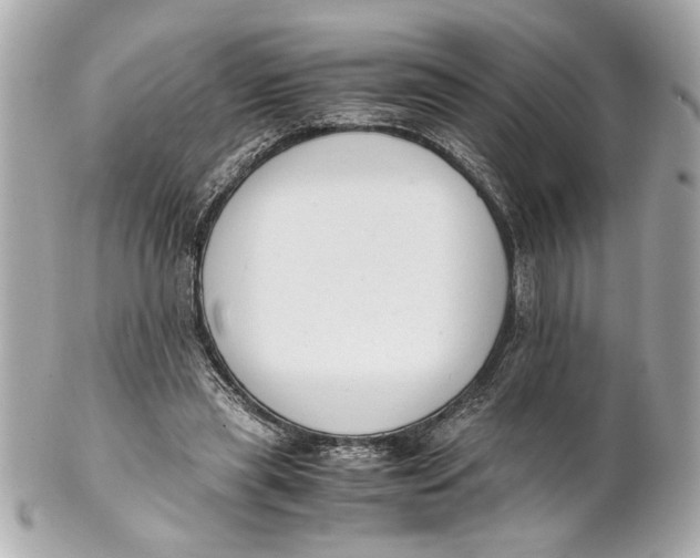 X0000101660445200807311439