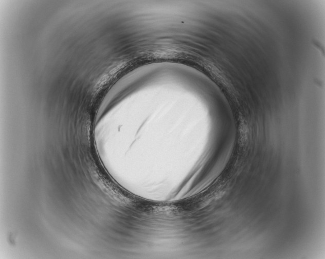 X0000101660446200807311439