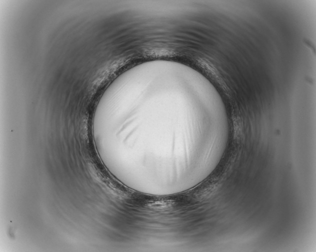 X0000101660447200807311439