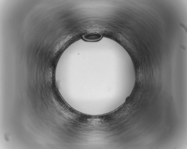 X0000101660448200807311439