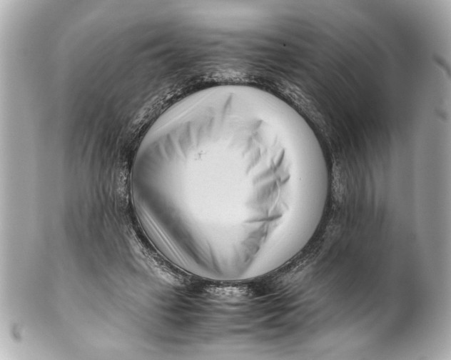 X0000101660449200807311439