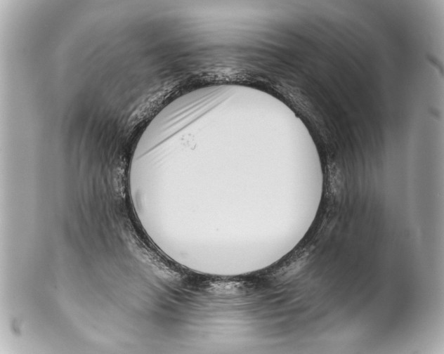 X0000101660450200807311439