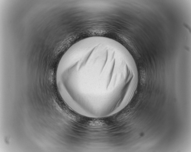 X0000101660451200807311439