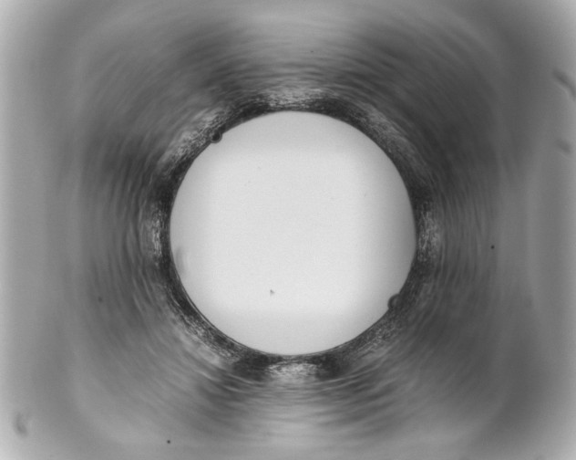 X0000101660452200807311439