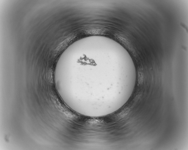 X0000101660453200807311439