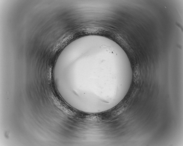 X0000101660454200807311439