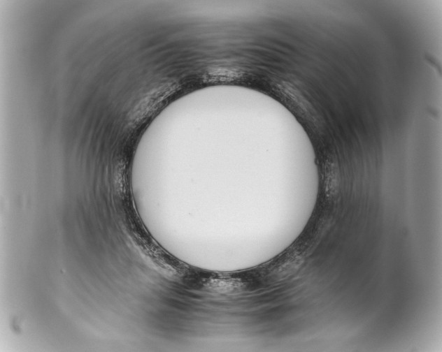 X0000101660455200807311439