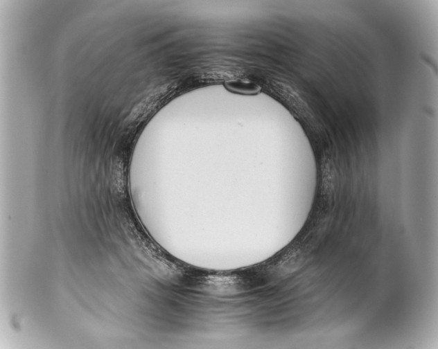 X0000101660457200807311439