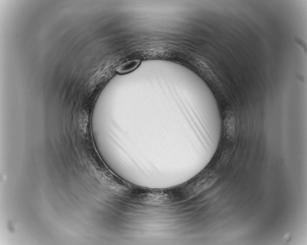 X0000101660458200807311439