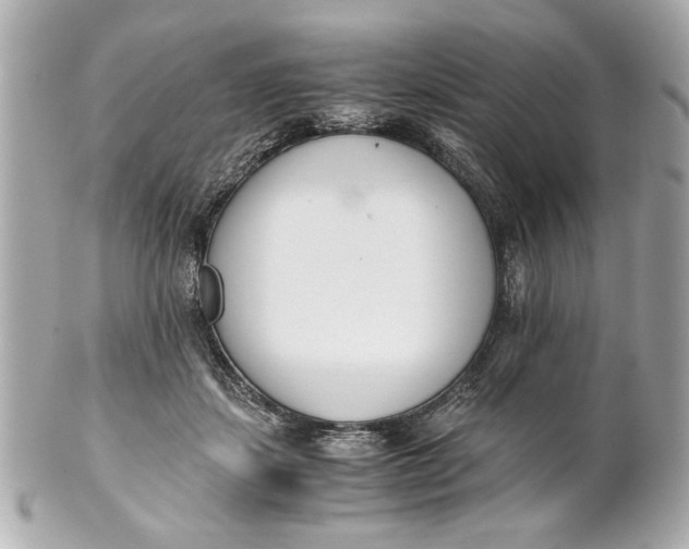 X0000101660459200807311439