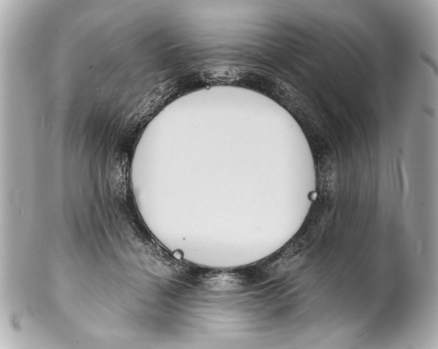 X0000101660460200807311439