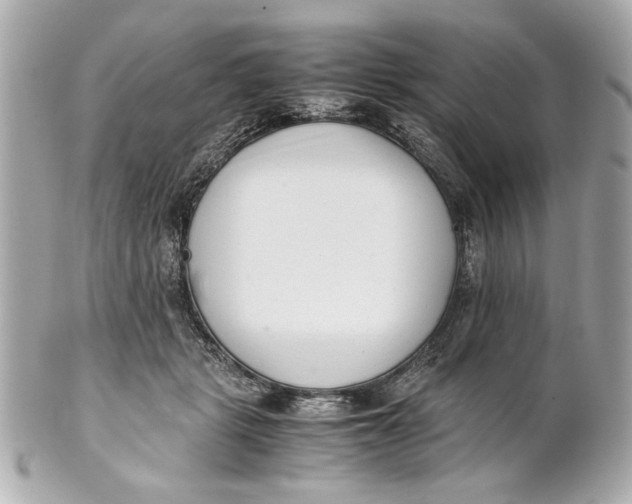 X0000101660461200807311439