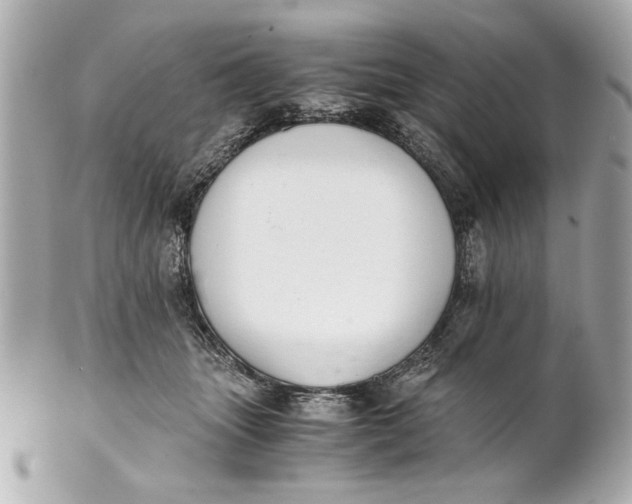 X0000101660463200807311439