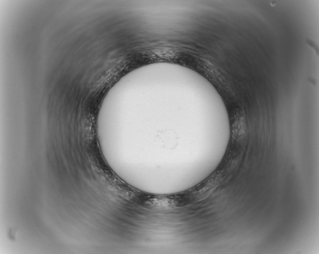 X0000101660464200807311439