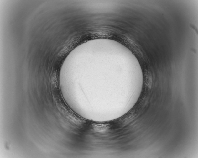 X0000101660465200807311439