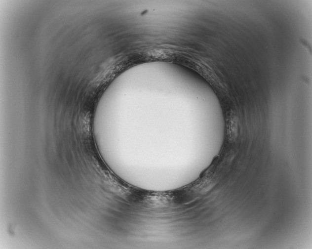 X0000101660466200807311439