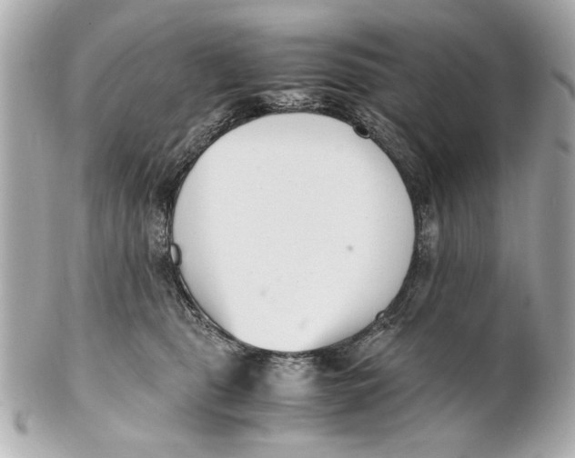 X0000101660469200807311439