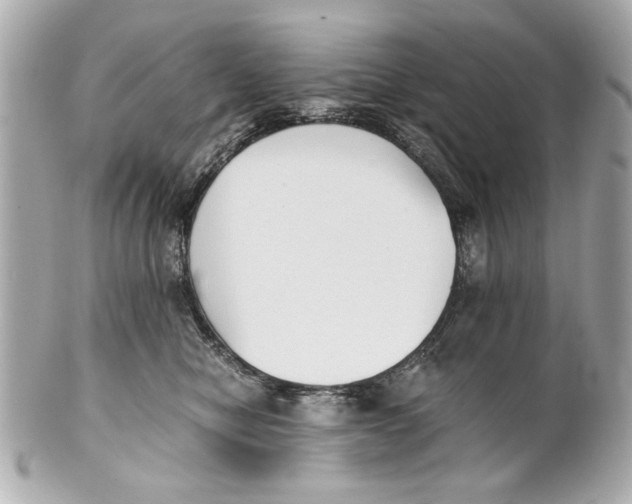 X0000101660470200807311439