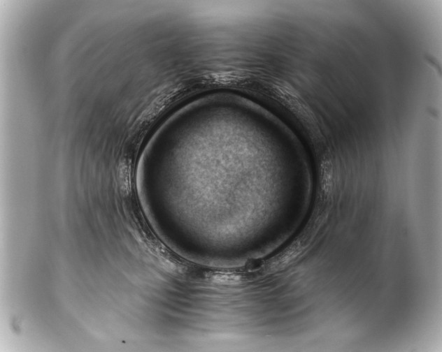 X0000101660471200807311439