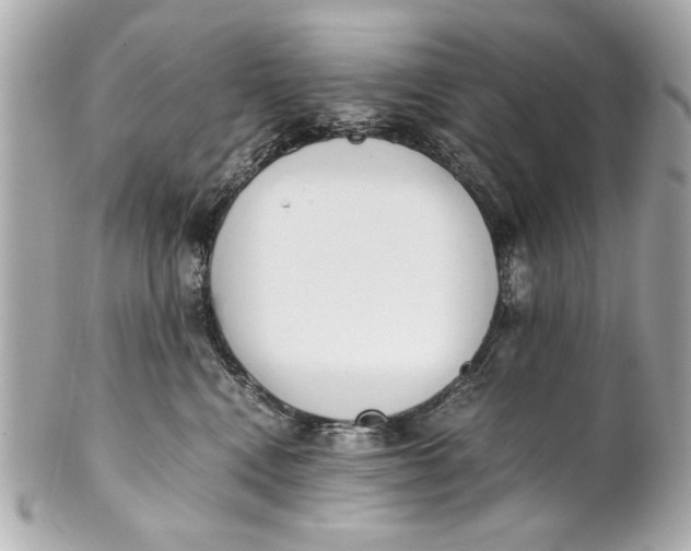 X0000101660472200807311439