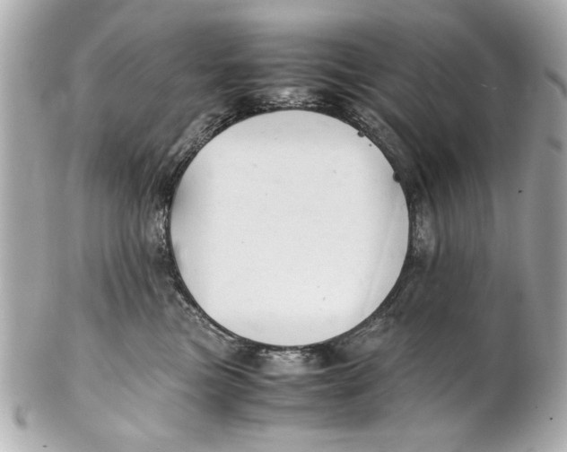 X0000101660473200807311439