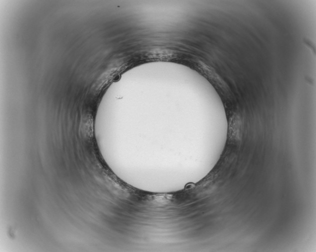 X0000101660474200807311439