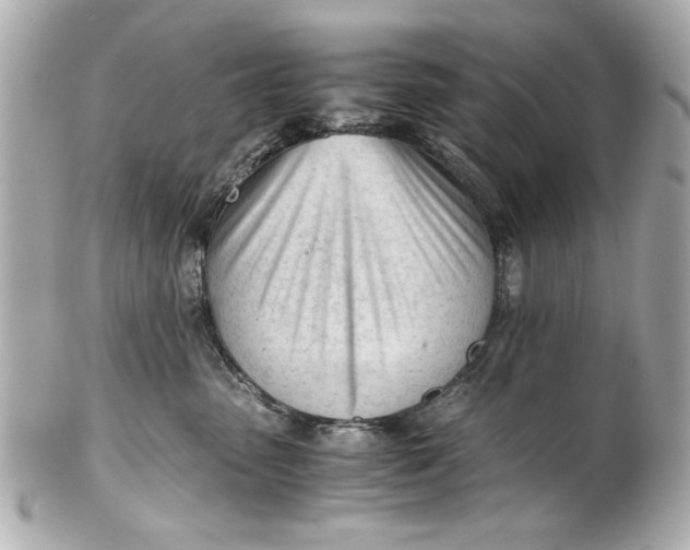 X0000101660475200807311439