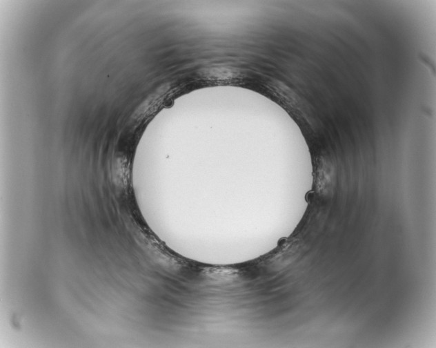 X0000101660476200807311439