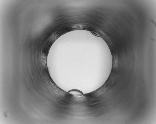 X0000101660477200807311439