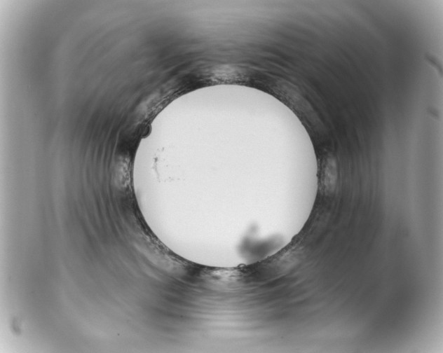 X0000101660478200807311439