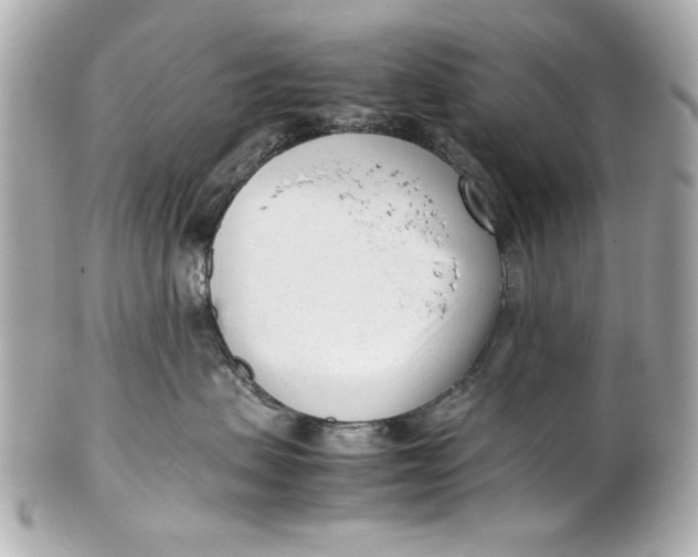 X0000101660479200807311439