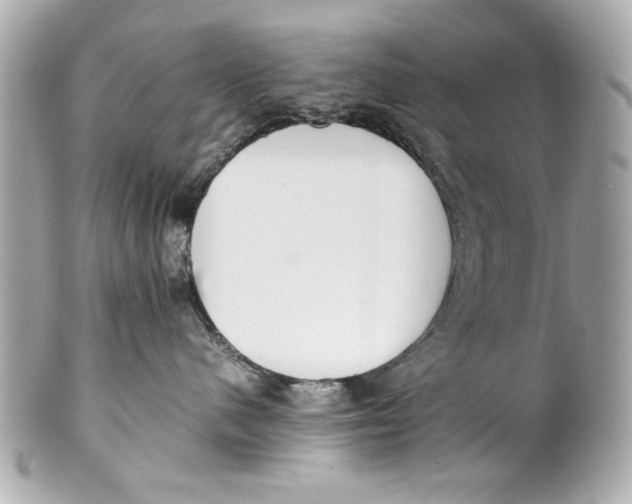 X0000101660480200807311439