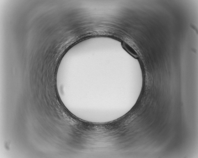 X0000101660481200807311439