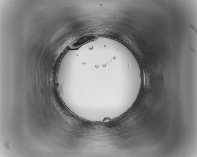 X0000101660483200807311439