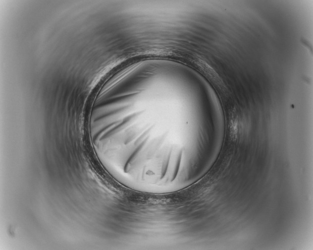 X0000101660484200807311439