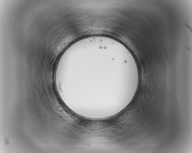 X0000101660485200807311439