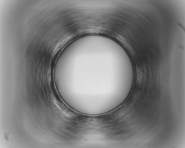 X0000101660486200807311439