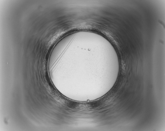 X0000101660487200807311439