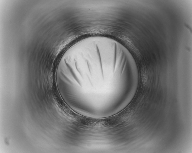 X0000101660488200807311439