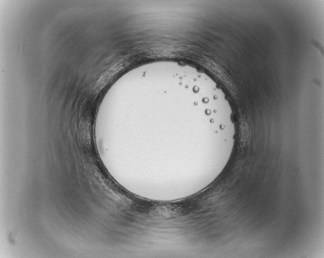 X0000101660489200807311438