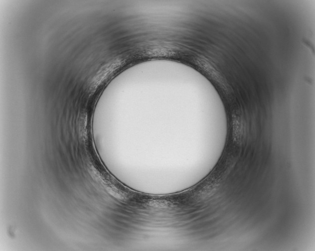 X0000101660490200807311438