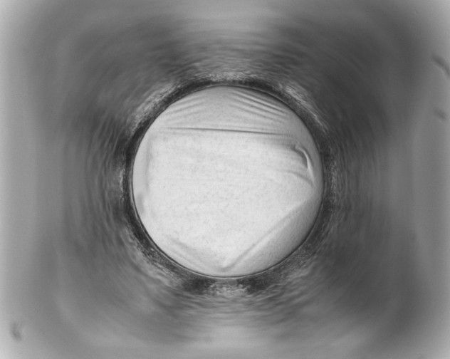 X0000101660491200807311438