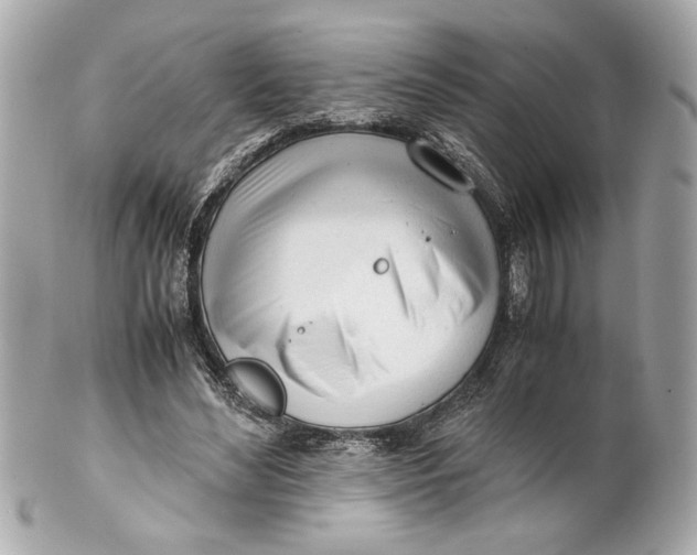 X0000101660492200807311438