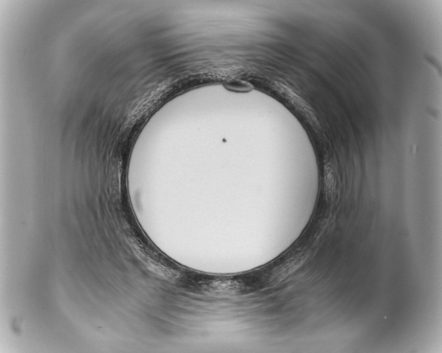 X0000101660493200807311438